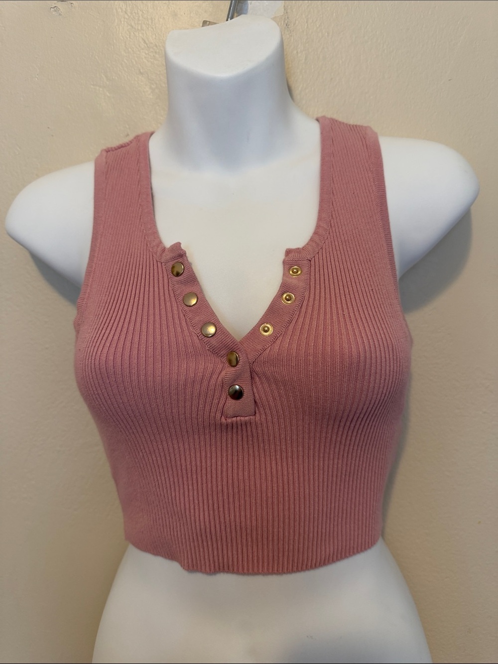 Fashion Nova Mauve Ribbed Snap V-Neck Crop Tank